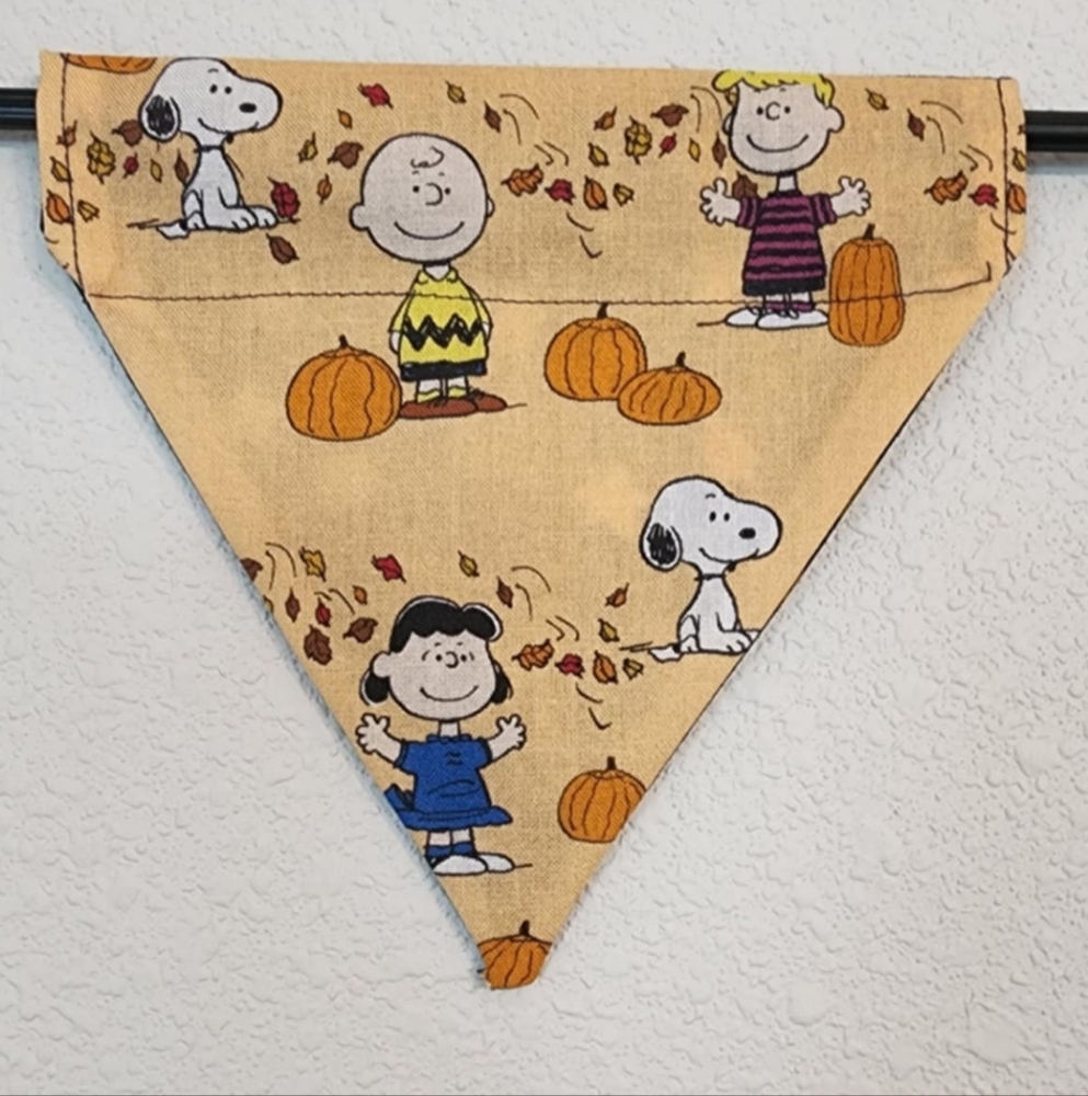 SMALL Fall Peanuts Character Bandana